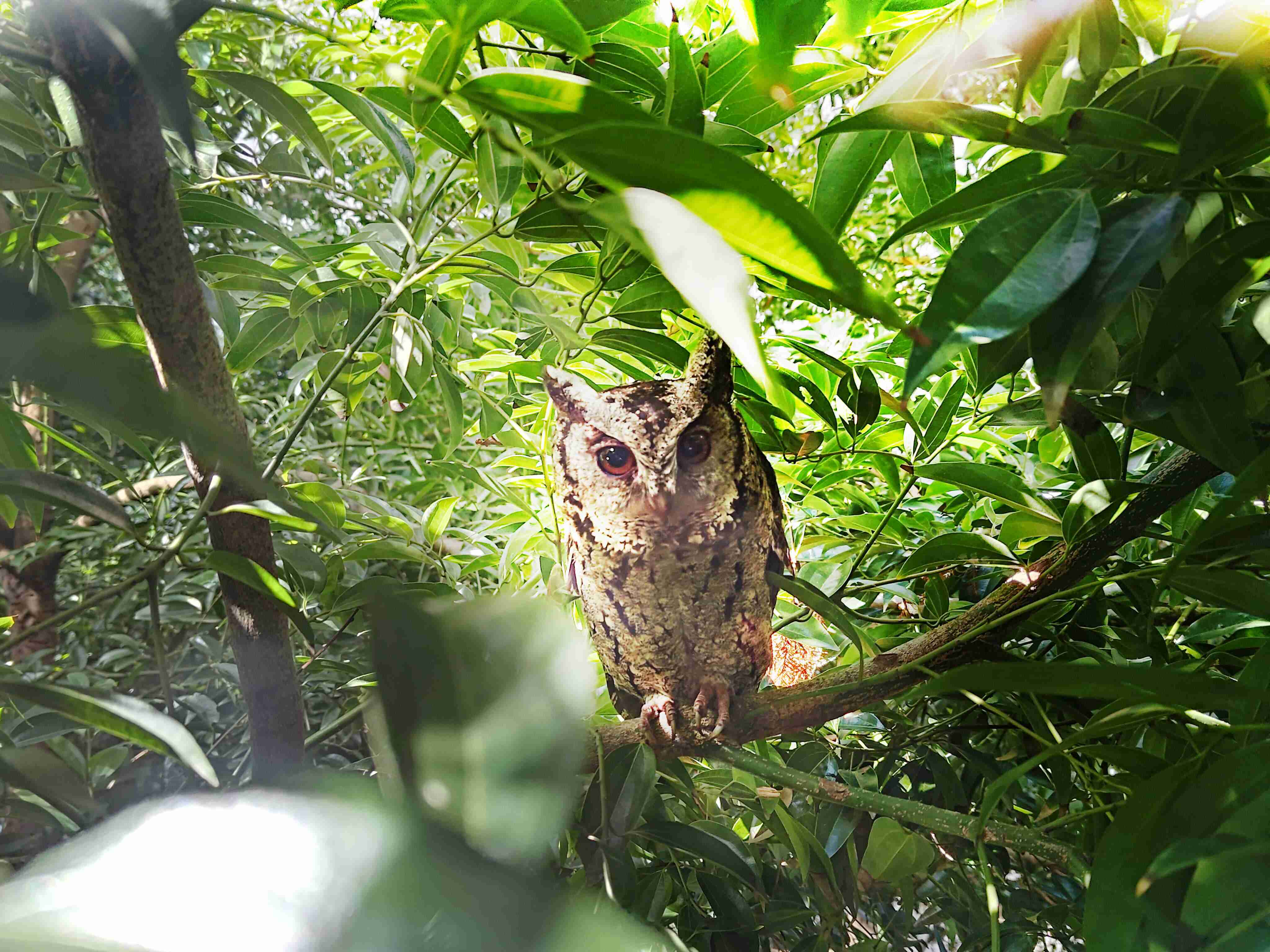 万利致力提倡净零绿生活，，，16年以来在全球各厂区植树逾百万棵，，，造就各厂区树木蔚然成林，，，犹如森林工厂，，成为许多生物的栖息地